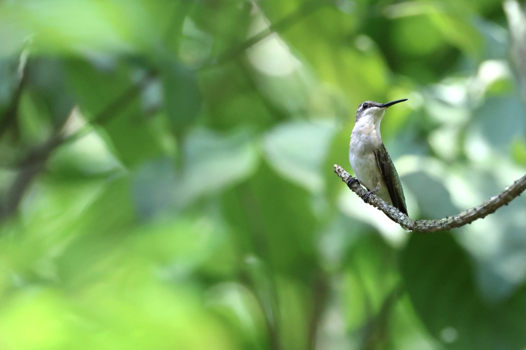 Hope to action: Make Windows Safer, Day and&nbsp;Night