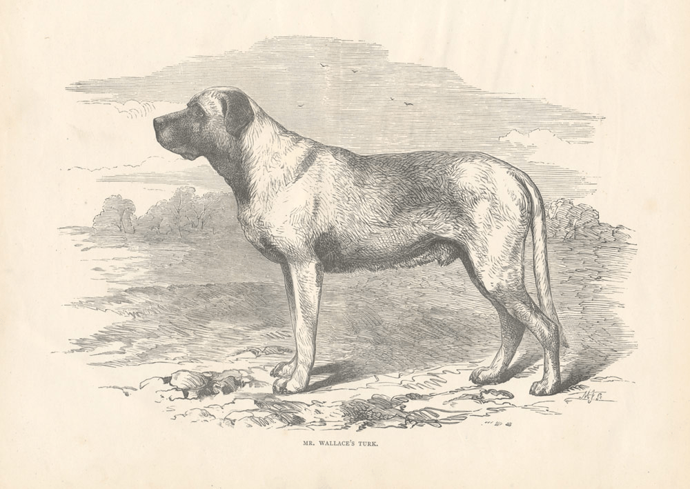 Smith family history: Part&nbsp;21